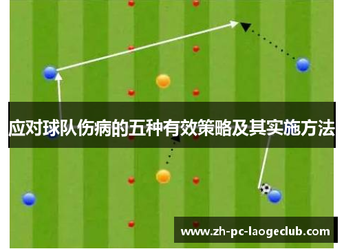应对球队伤病的五种有效策略及其实施方法