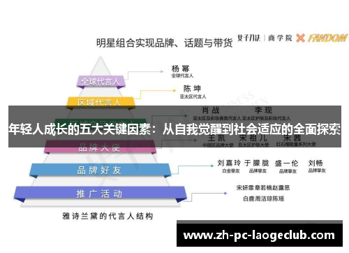 年轻人成长的五大关键因素：从自我觉醒到社会适应的全面探索