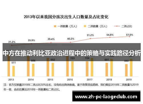 中方在推动利比亚政治进程中的策略与实践路径分析