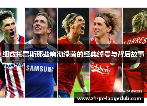 细数托雷斯那些响彻绿茵的经典绰号与背后故事